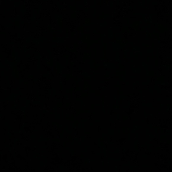 Meet your Posher, Kennedy - Picture 1 of 1